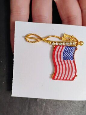 American Flag brooch